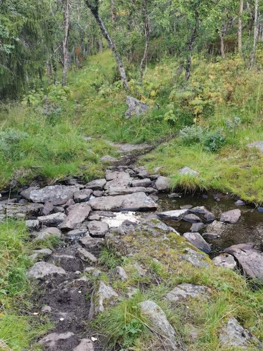 Na Er Vinteren Kommet Til Hallingdal Ол Экстерьер фото