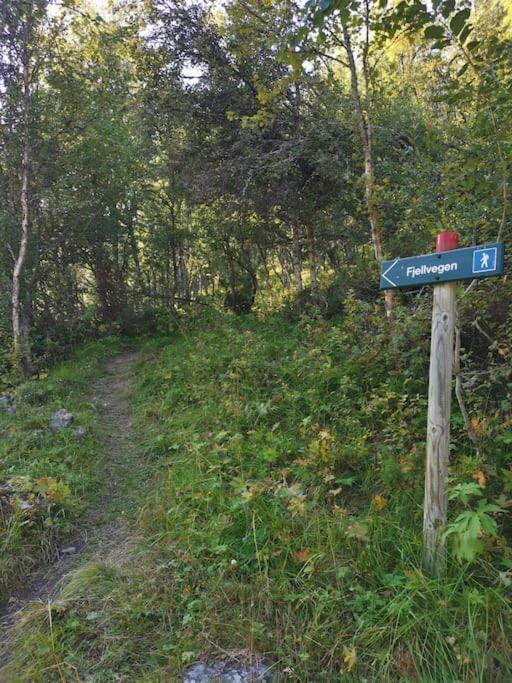 Na Er Vinteren Kommet Til Hallingdal Ол Экстерьер фото
