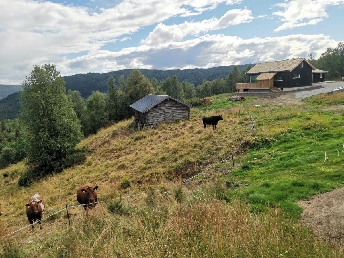 Na Er Vinteren Kommet Til Hallingdal Ол Экстерьер фото