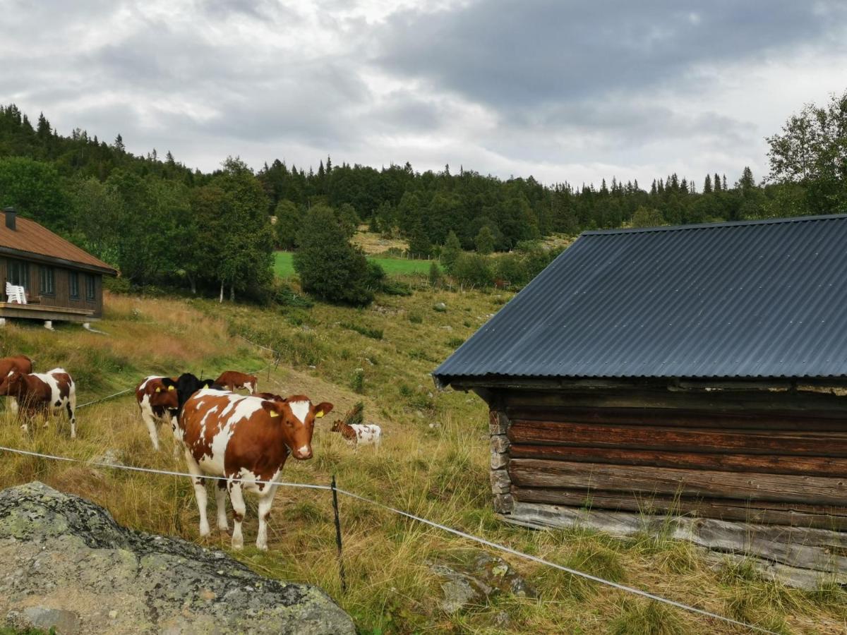 Na Er Vinteren Kommet Til Hallingdal Ол Экстерьер фото